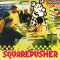 Squarepusher — Vic Acid
